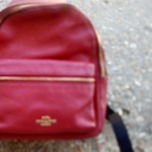 New York coach mini bag